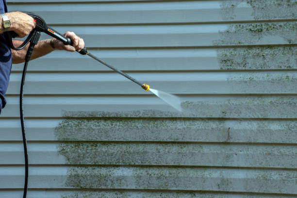 Best Gutter Cleaning and Brightening in Jefferson, TX