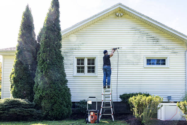 Best Sidewalk and Walkway Pressure Cleaning in Jefferson, TX